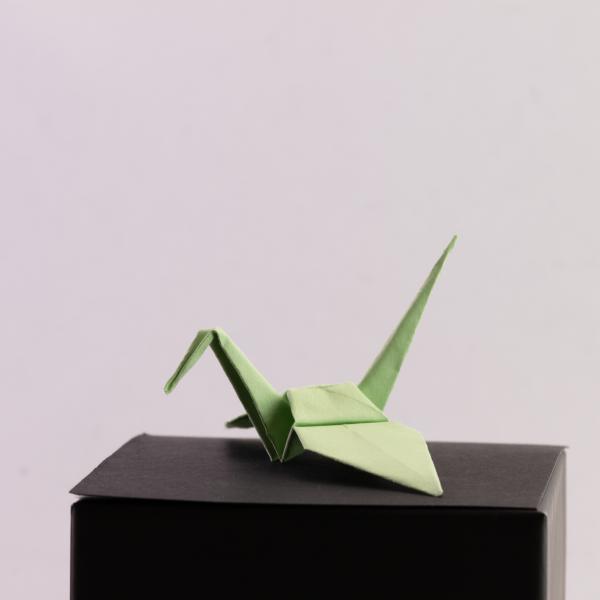 Kraanvogel