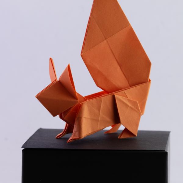 Eekhoorn