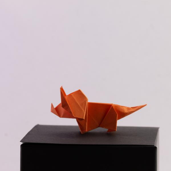 Triceratops